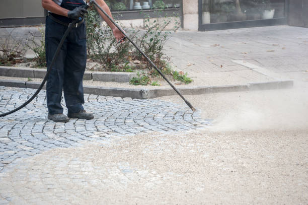 Best House Exterior Washing  in Bonita, CA