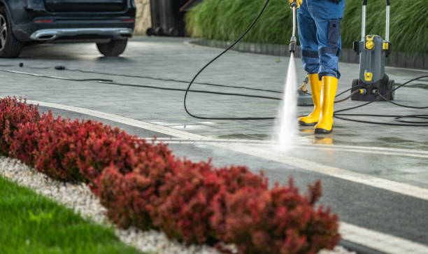Best Driveway Pressure Washing  in Bonita, CA